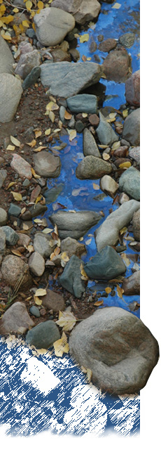 Liza Gomez Maakestad